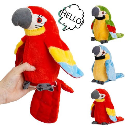 Talking macaw parrot - parrot, repeat