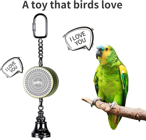 Voice recordable parrot - voice,